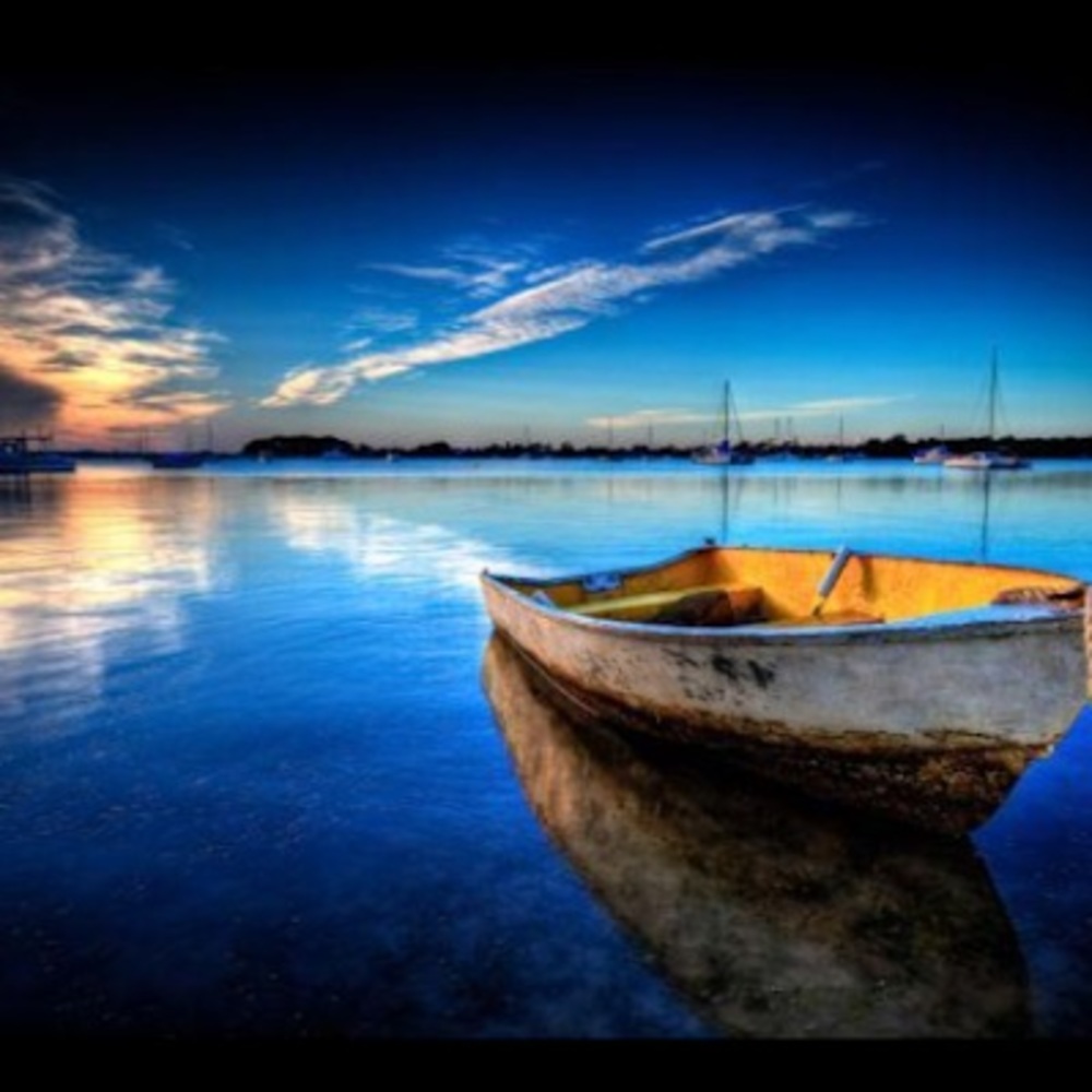 Meet your Posher, Beesly